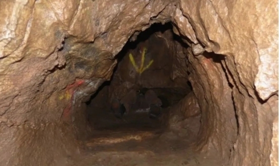 少妇一区二区三区四区芒果TV 少妇冬天上温暖综艺