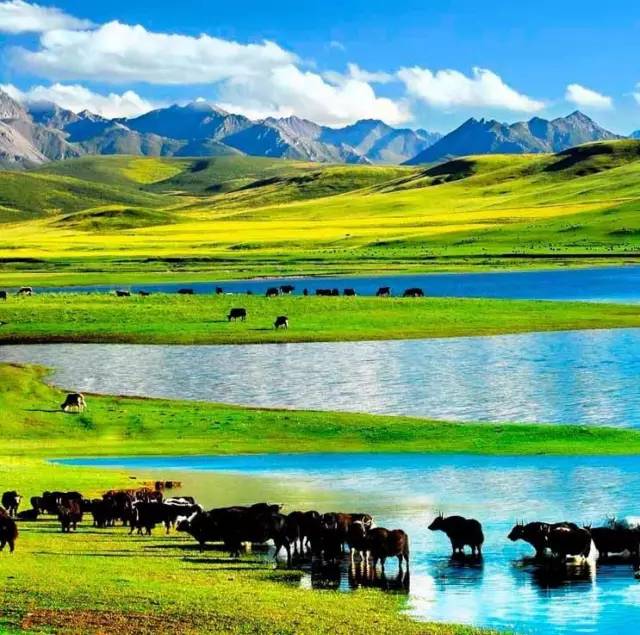 余杭初心 余杭将继续保持初心