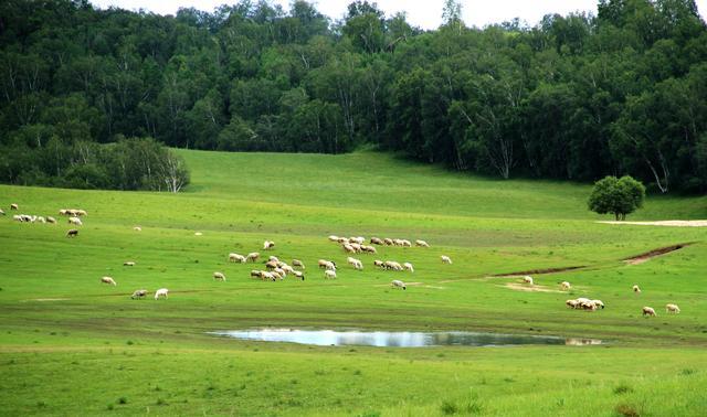 琢木鸟系列电影 如果是列电英语对白