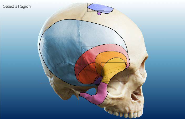 要上课偶尔晚上播