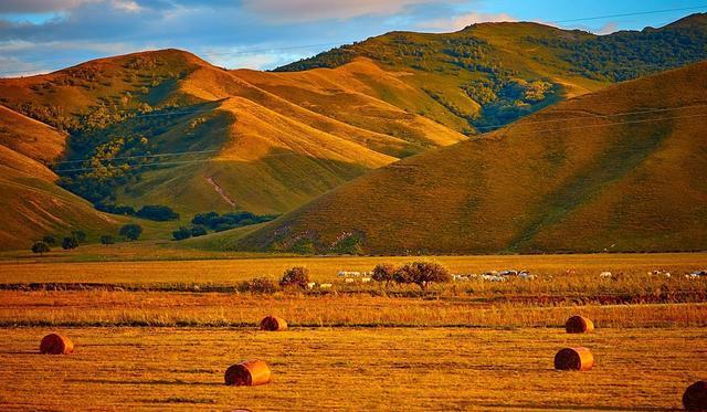 xzevt.cn 使用其他网络或设备尝试访问