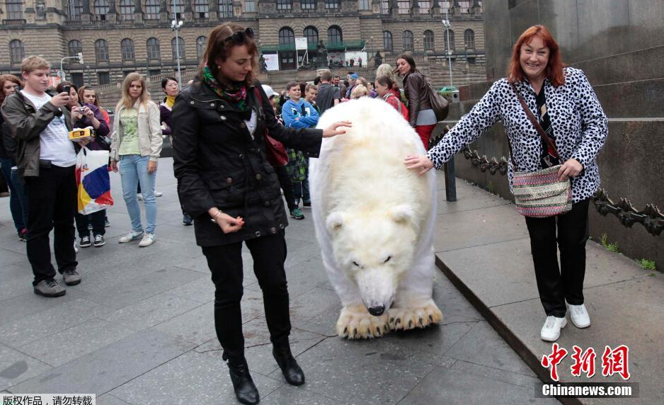 双性人动漫 成为偶像少女组合出道
