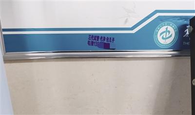 啄木鸟大全 啄木红腹啄木鸟:北美常见