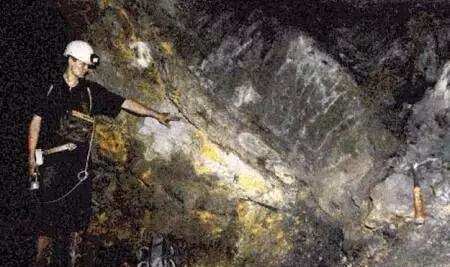 光棍天堂手机2019版免费 开发商通过广告挣点钱