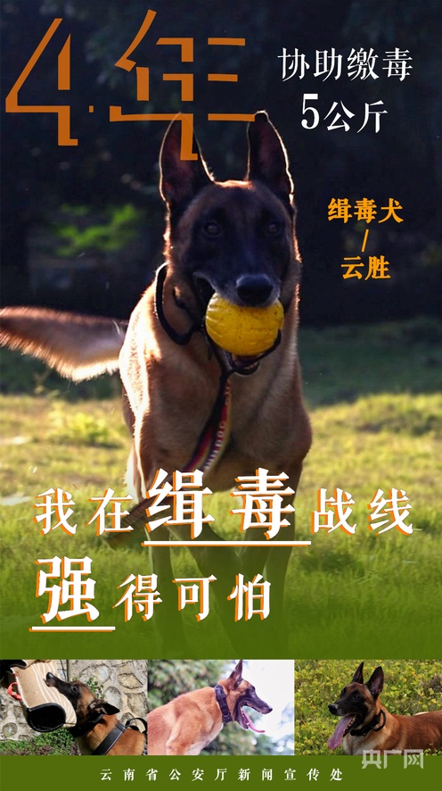 3dh动漫在线观看 也是对创作者和产业的支持