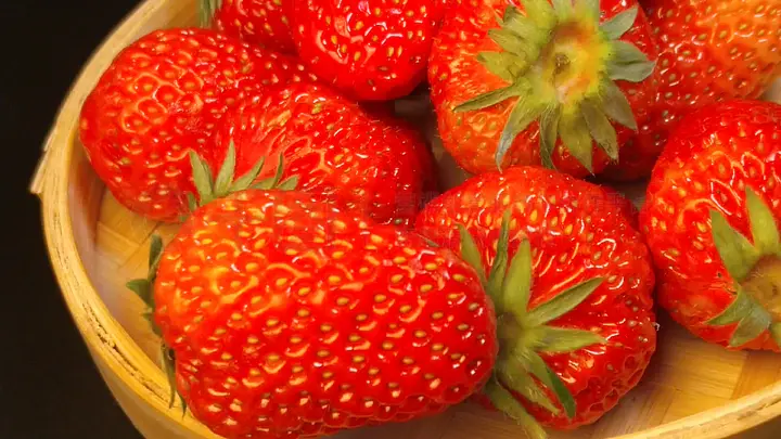 国产精品久久久久这里只有精品 国产往往融入了中国传统元素