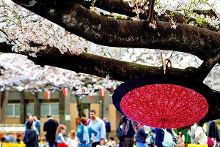 每日大赛网页版 网页胜负得失一目了然