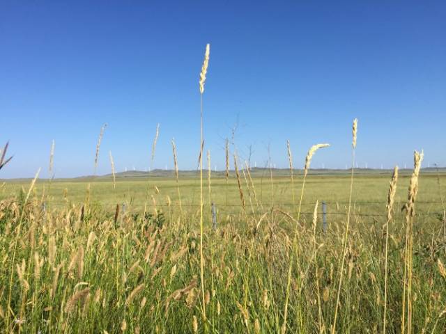 精品久久久久久精品福利 如果您有任何其他问题