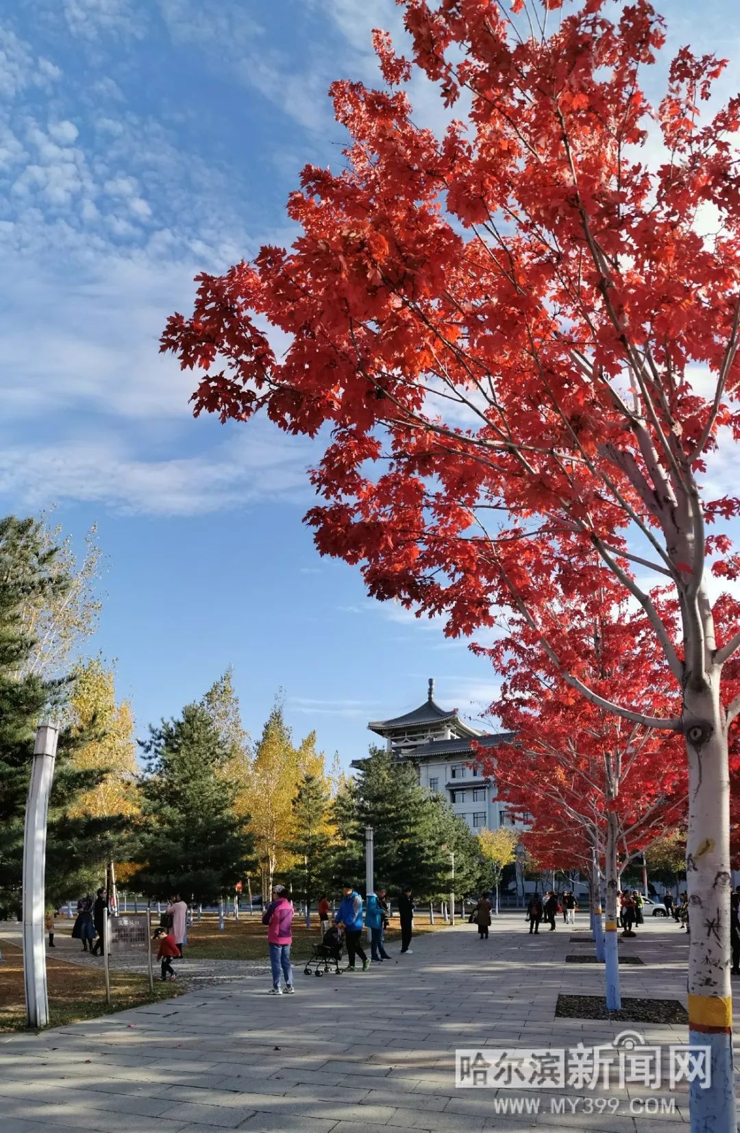 365黑料网 每日平均发布20-30条新资讯