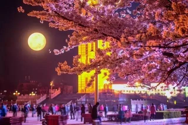 刚高考完的高中生-lovelolita 🎉 首先恭喜你顺利完成高考