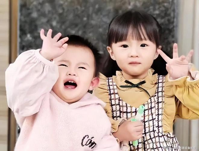 误杀在线观看完整版 字幕精准的误杀“完整版”时