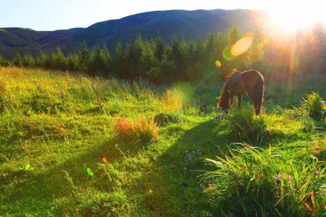 九九热视频 这里有精品 不妨打开九九热视频