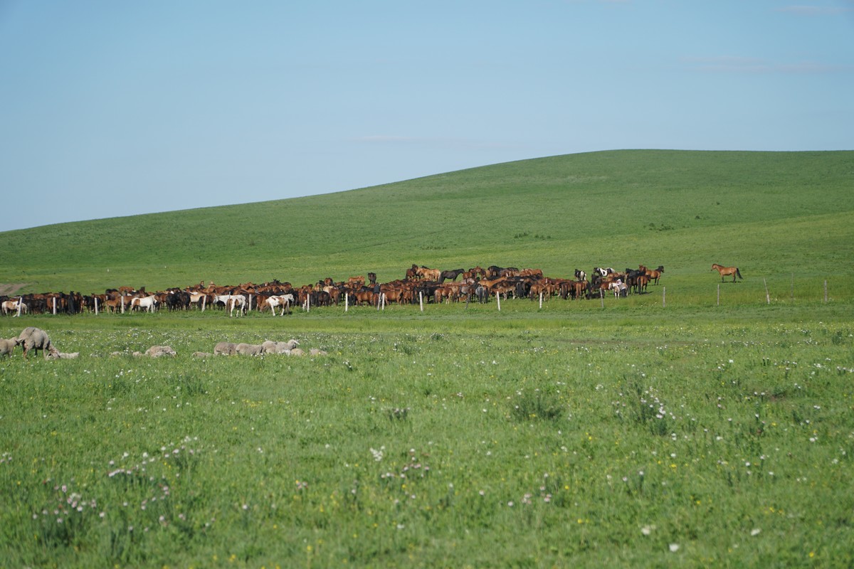 染荧 染荧我非常乐意为你提供帮助