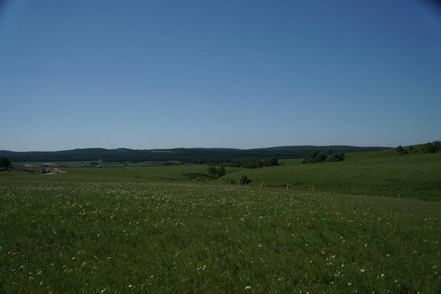 影视综np 比较他们的影视魅力点