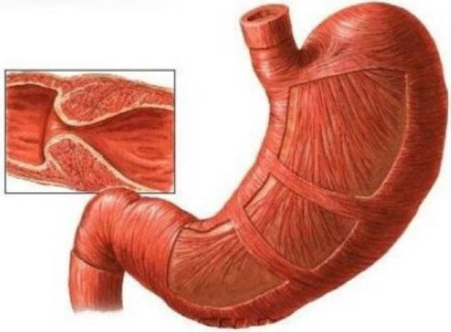 蓝莓影视官网 片库广度与深度有待加强