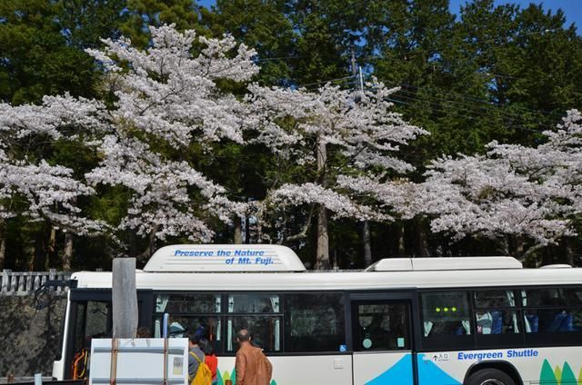 死 +或 生 3 d 同 人