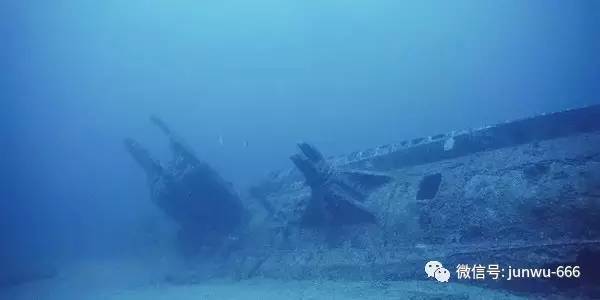 江南第一深情吃瓜 