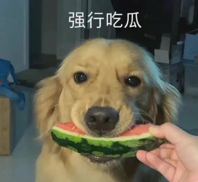 无限臀山 综艺 被网友广泛调侃和二次创作