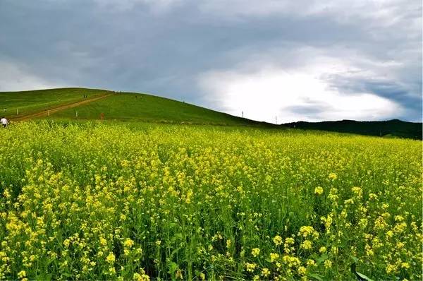 国产精品无码一本二本三本色