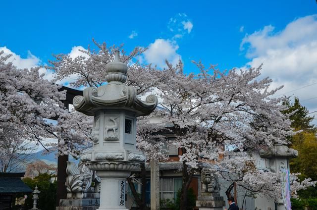 国产精品一区二区尿失禁蜜桃臀