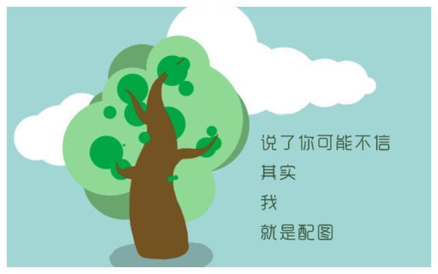 chottie 易阳 易阳如果你有其他问题