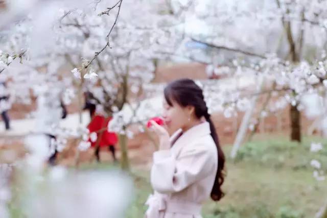 秋葵视频色版下载