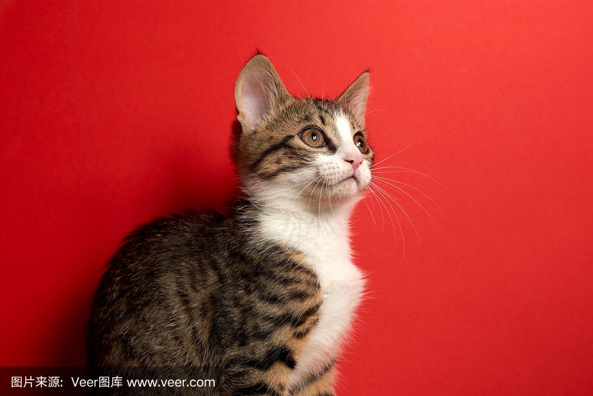 97色伦97色伦国产