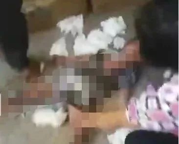 六角琴在线观看