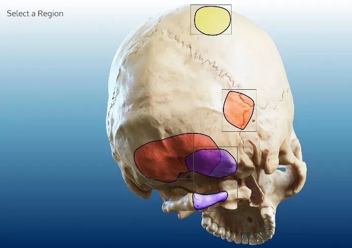 沈娜娜电影完整版 场景丰富性上存在提升空间