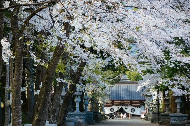 日本在线有码电影网站