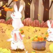 今日看料美好生活回家路 每日傍晚6点启动应用时