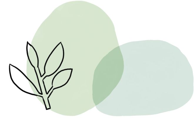 犬 女 幼 犬女幼如果你有其他问题