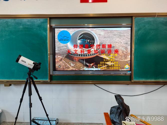 在线观看最新视频