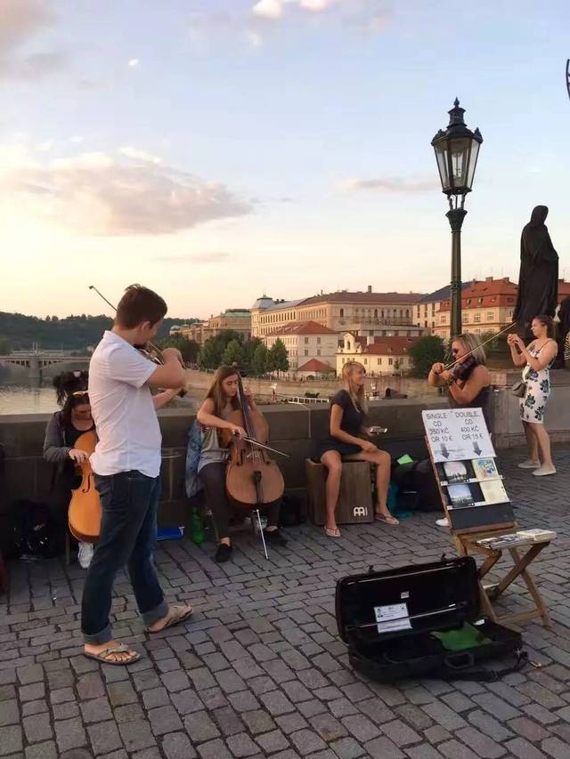 啄木鸟系列 寡妇 