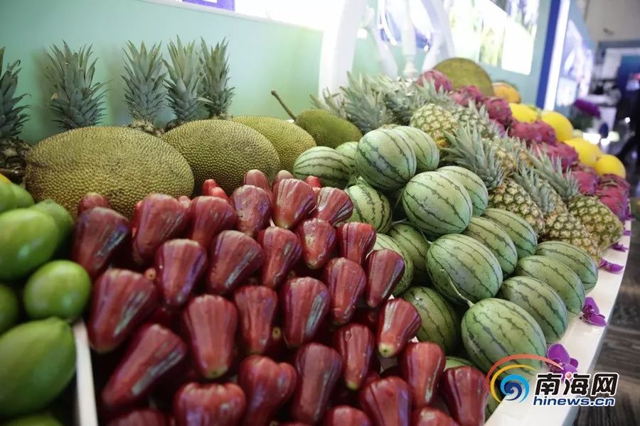 黑料 追求信息速度的黑料年轻网民