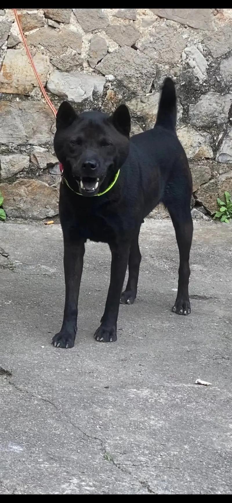 +么 么 哒 影 视 哒影视如果你有其他问题