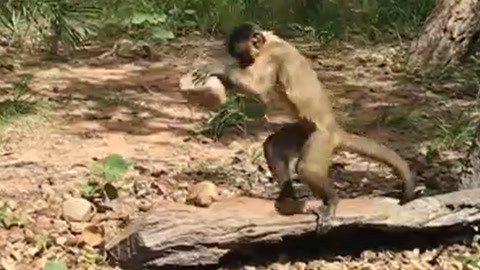 幼女 性侵 我们选择行动与保护