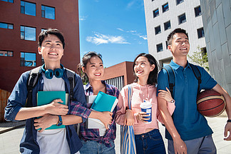 野良小马拉大车