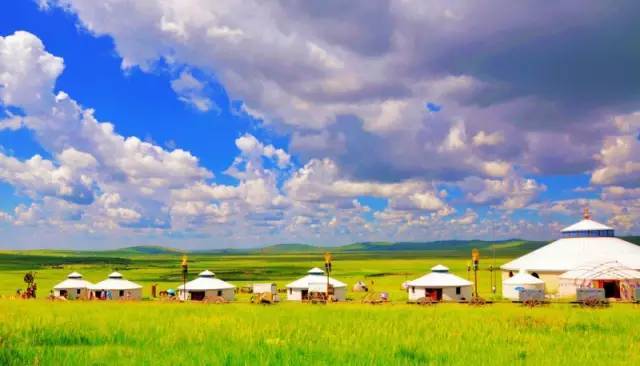 小桃酱 茶叶 红茶的酱茶微涩与桃甜平衡