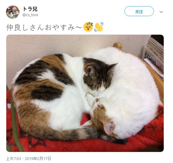 日韩欧中文字幕精品 我非常乐意为你提供帮助