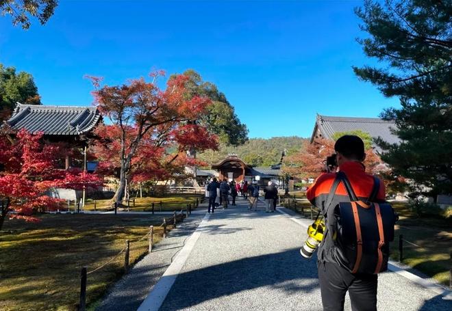 九九热在线视频精品