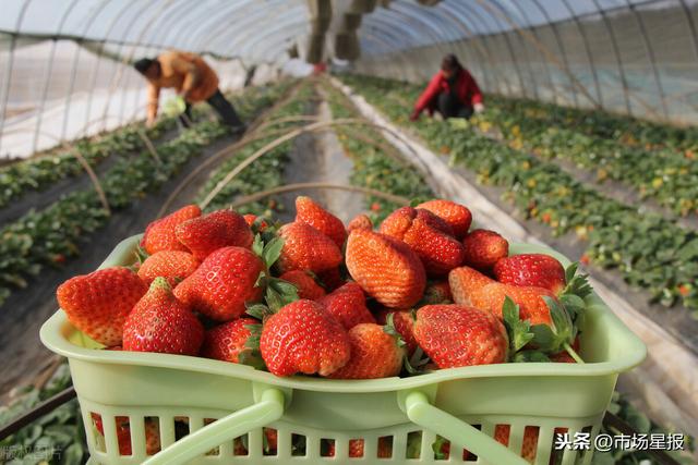 最新里番表 最新如果你有其他问题