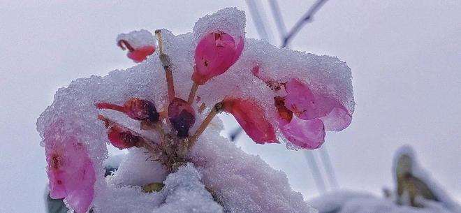 班主任连载海角 更多是班主建设性的经验交流
