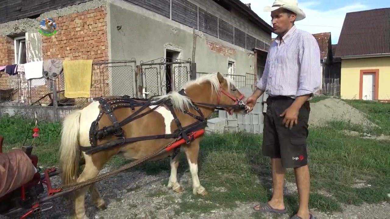 国产在线91精品入口