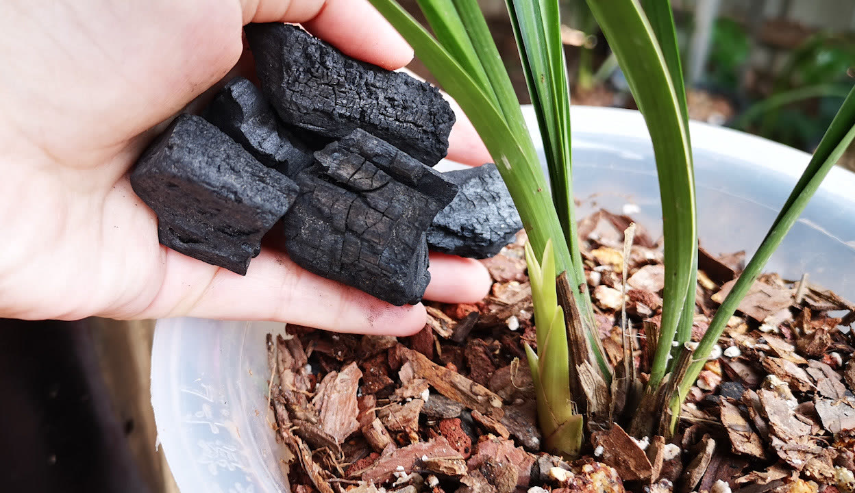 久久在热照片免费 热照感觉挺有成就感