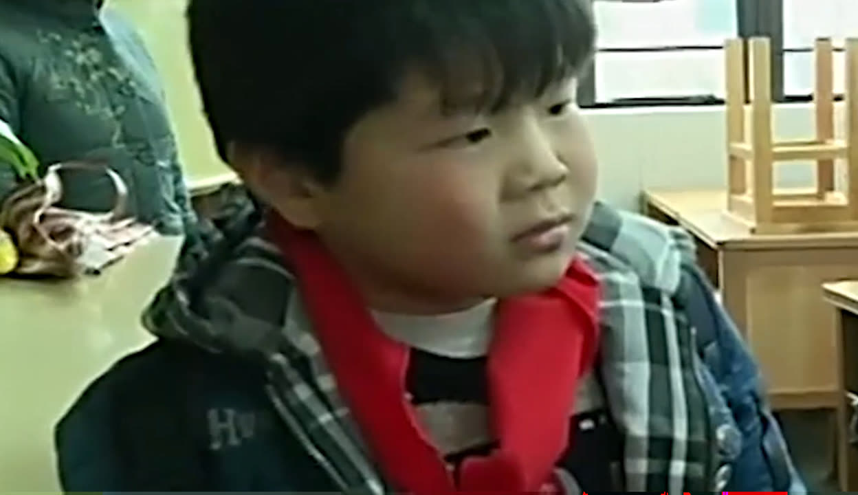 视频13 无法观看或处理视频文件