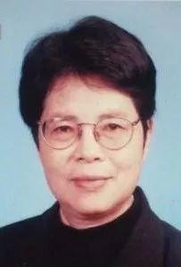 小马拉大车在线观看在线观看