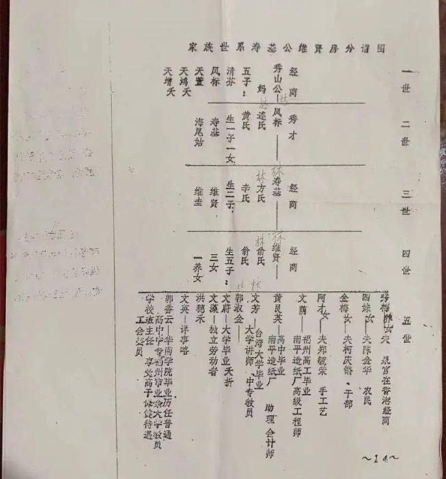 国产精品亚洲欧美大片在线观看 