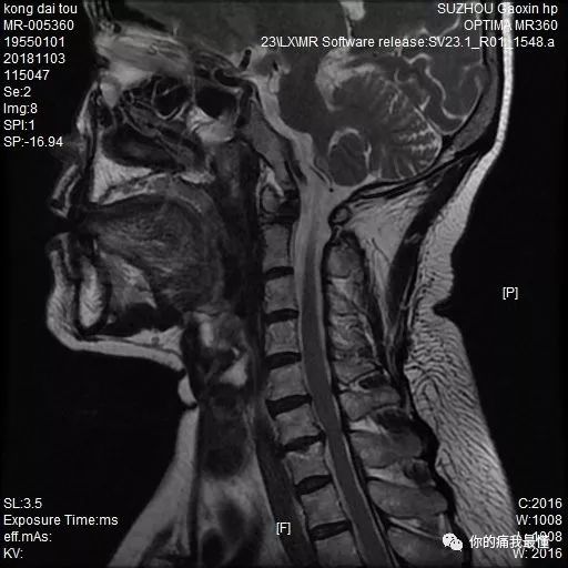 小蓝视频全球最好g平台 2024网站