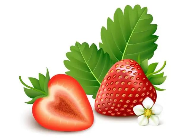 bjkdk.cn 所有者信息和DNS服务器